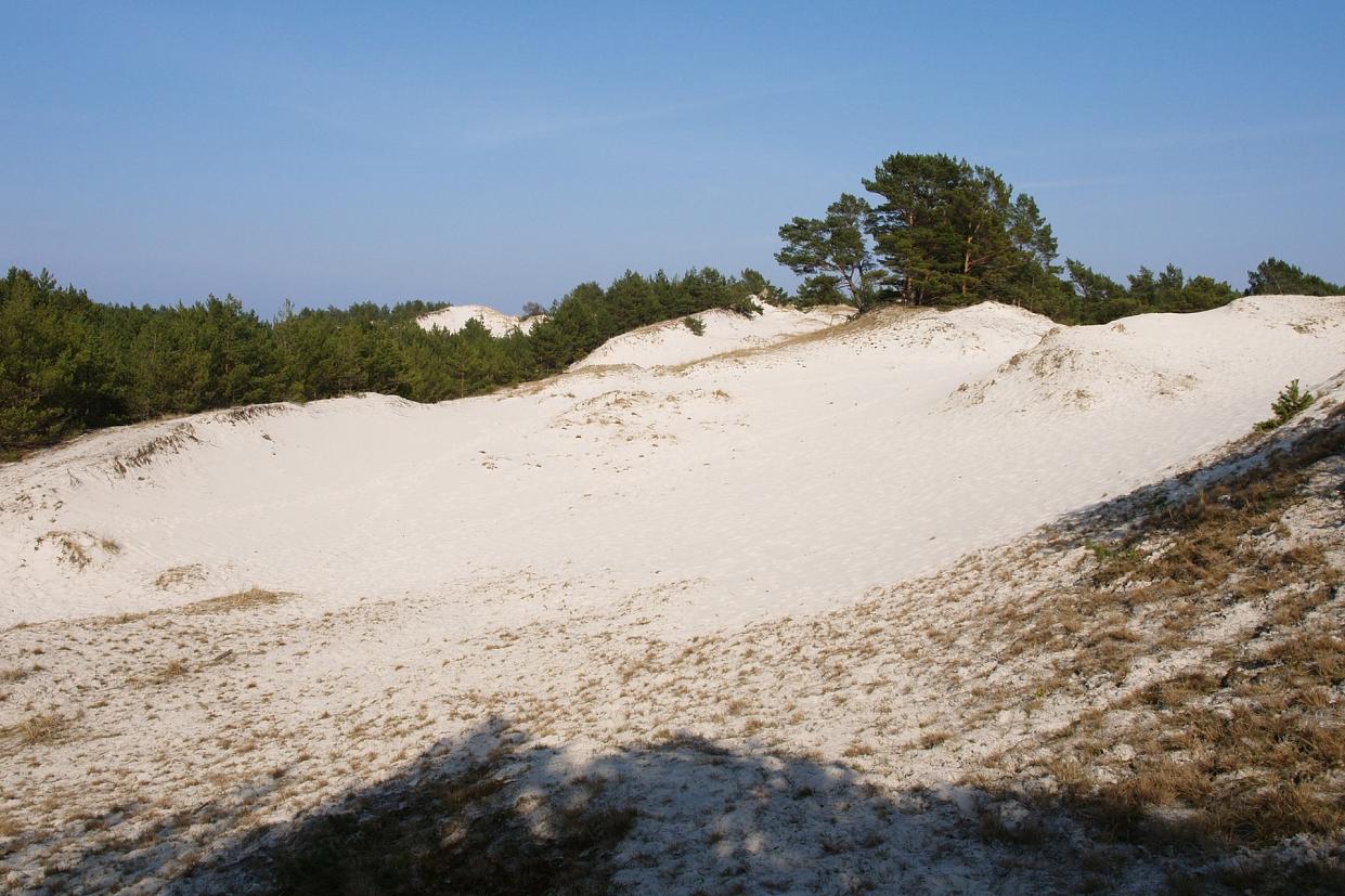 Słowiński Park Narodowy - skarbem polskiej przyrody