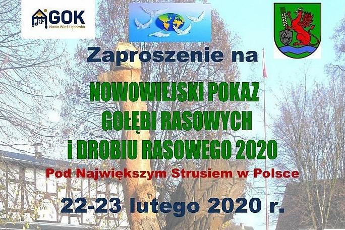 IV nowowiejski pokaz gołębi rasowych i drobiu rasowego 2020