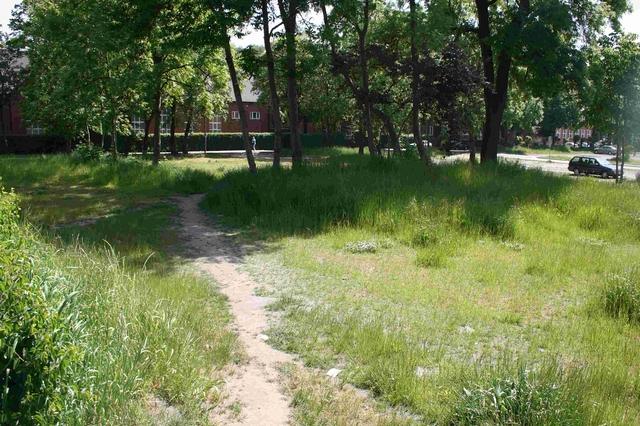 Duża działka przy ul. Marcinkowskiego czeka na nabywców 