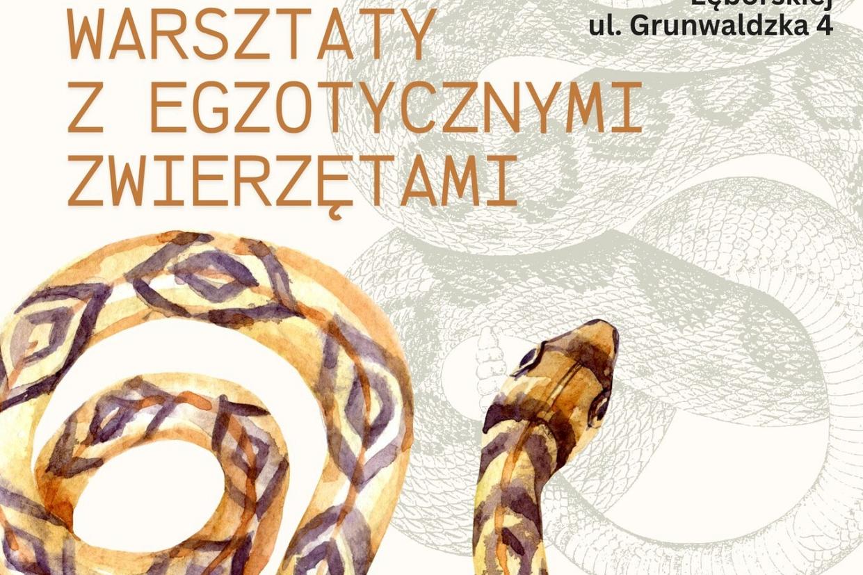 Warsztaty rodzinne ze zwierzętami egzotycznymi