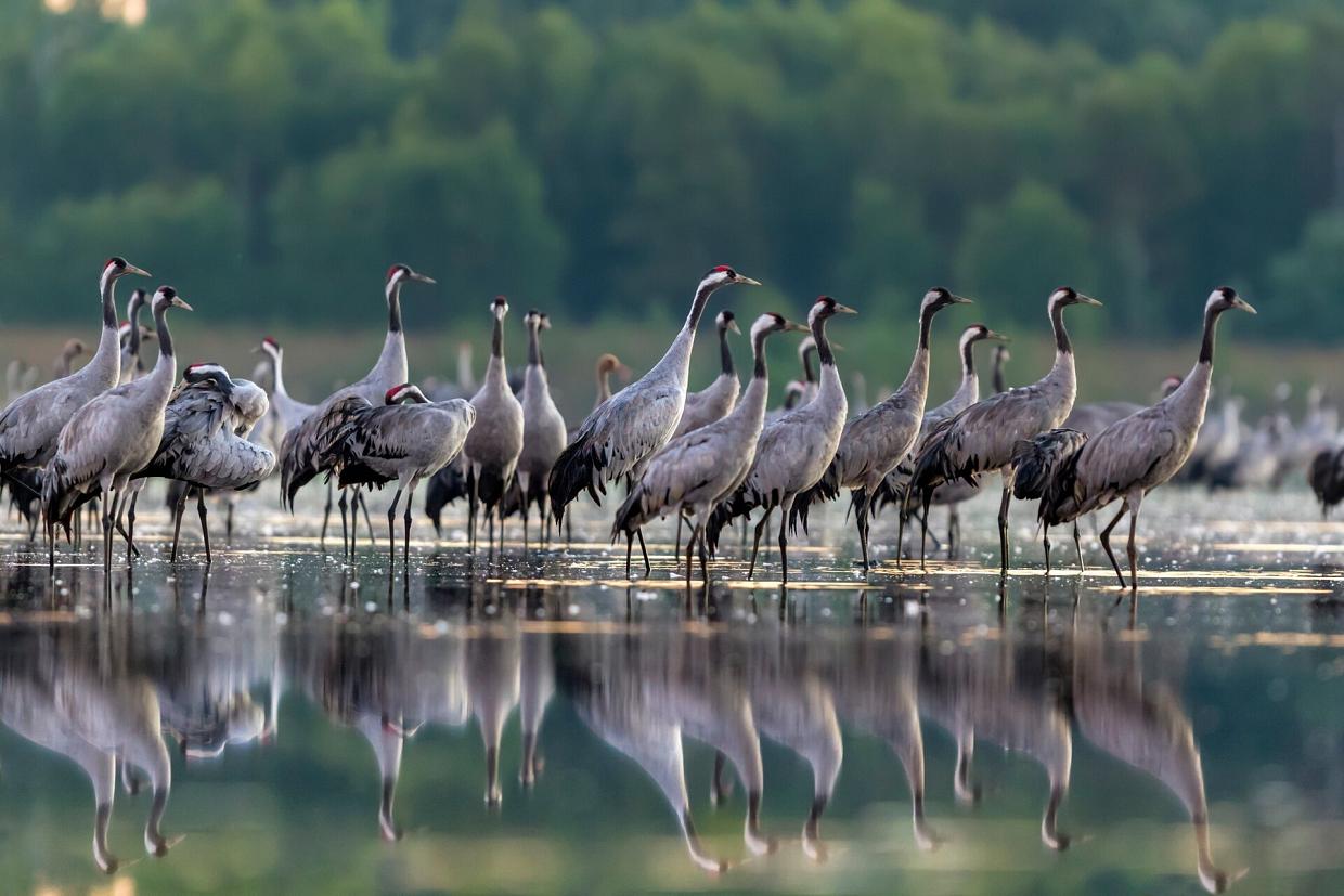 Skrzydła nad ziemią lęborską - spotkanie z Bogusławem Kotlarzem