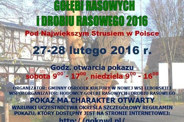 Nowowiejski pokaz gołębi i drobiu rasowego
