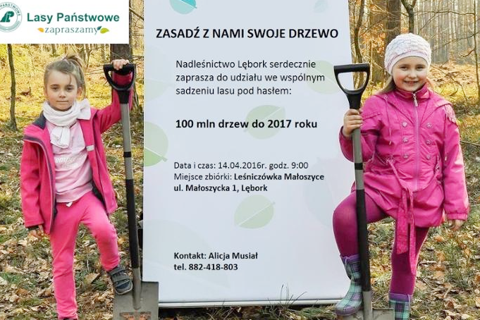 100 mln drzew do 2017 roku