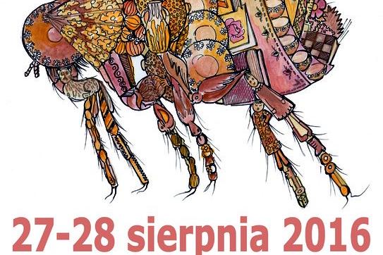 Odwiedź Pchli Targ w Lęborku