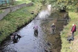 Jubileuszowa, dziesiąta akcja sprzątania rzeki Łeby