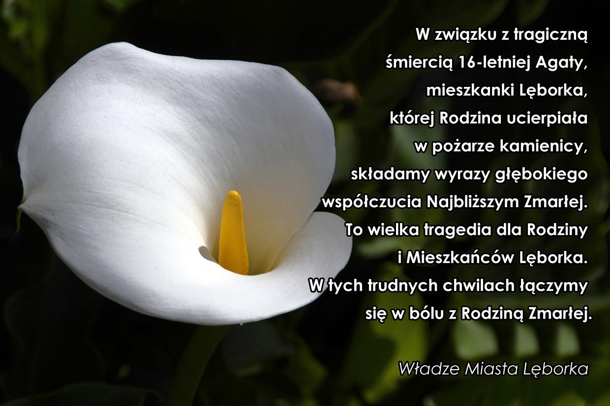 Wyrazy współczucia