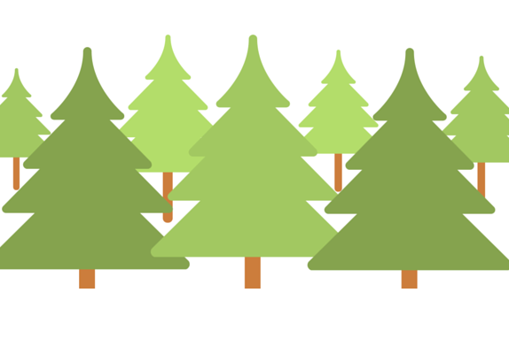 Odbiorą choinki po świętach