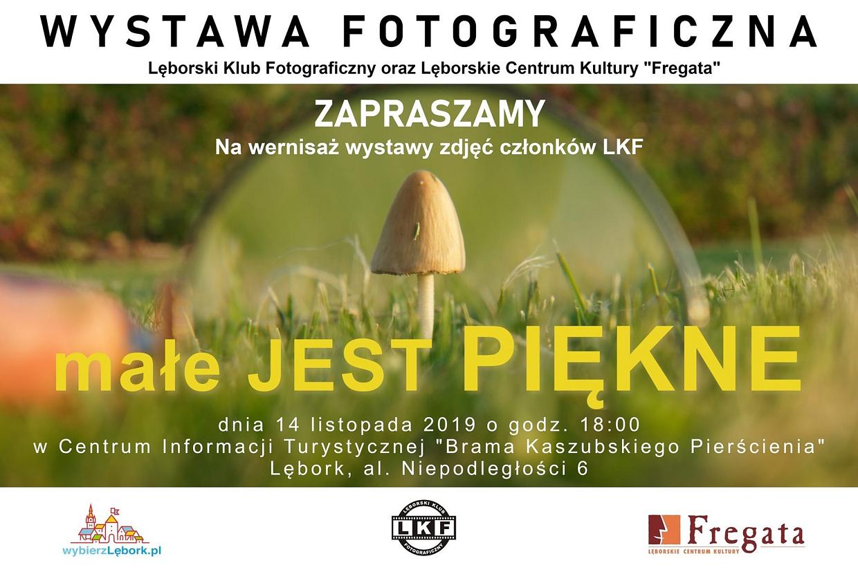 Małe jest piękne - wystawa fotograficzna