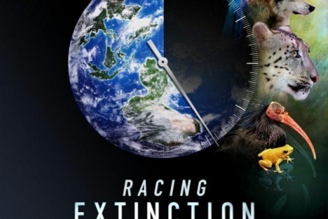 „Ginący świat” w listopadowym DKFie