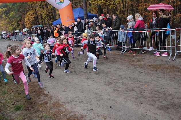 Indywidualne Biegi Przełajowe z okazji Święta Niepodległości w strugach deszczu