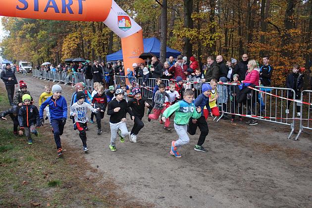 Indywidualne Biegi Przełajowe z okazji Święta Niepodległości w strugach deszczu