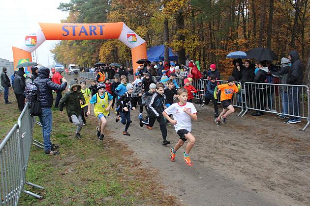 Indywidualne Biegi Przełajowe z okazji Święta Niepodległości w strugach deszczu