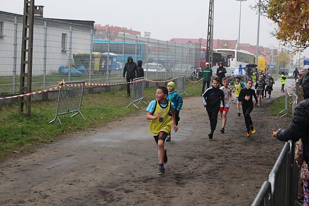 Indywidualne Biegi Przełajowe z okazji Święta Niepodległości w strugach deszczu