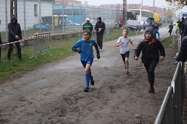 Indywidualne Biegi Przełajowe z okazji Święta Niepodległości w strugach deszczu