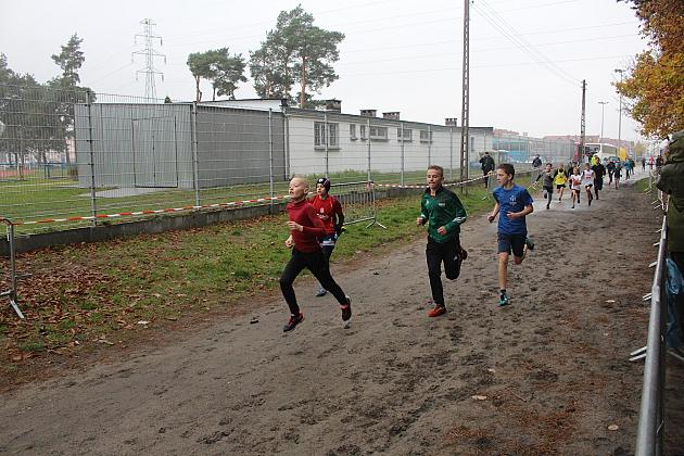 Indywidualne Biegi Przełajowe z okazji Święta Niepodległości w strugach deszczu