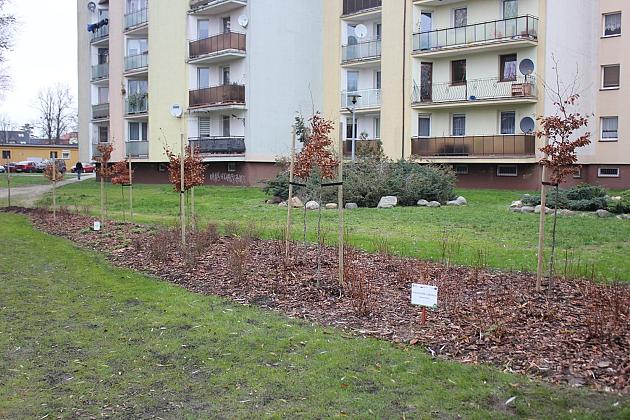 „Mini Park” nad rzeką Łebą zmienił oblicze