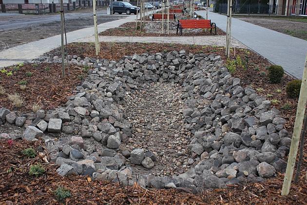 Przy Olimpijczyków powstały ogrody deszczowe