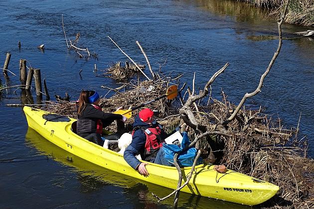 Czyszczenie rzeki Łeby