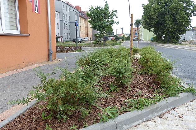 Ulica Malczewskiego już po rewitalizacji