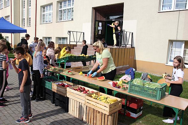 Piknik Zdrowia przy Szkole Podstawowej nr 1
