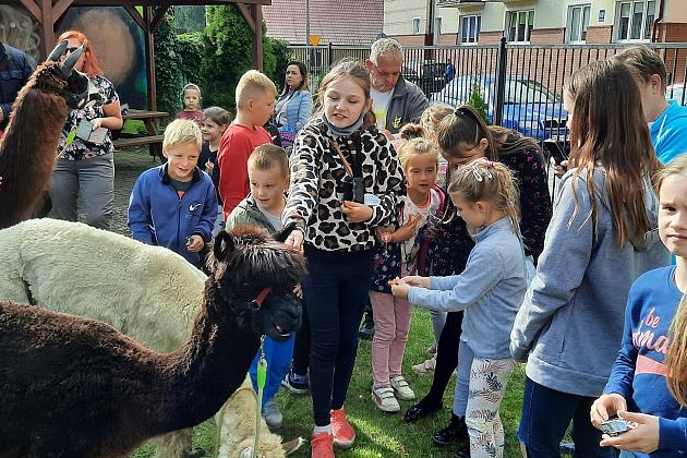 Festiwal Uliczny na obszarze rewitalizacji Lębork Nowy Świat