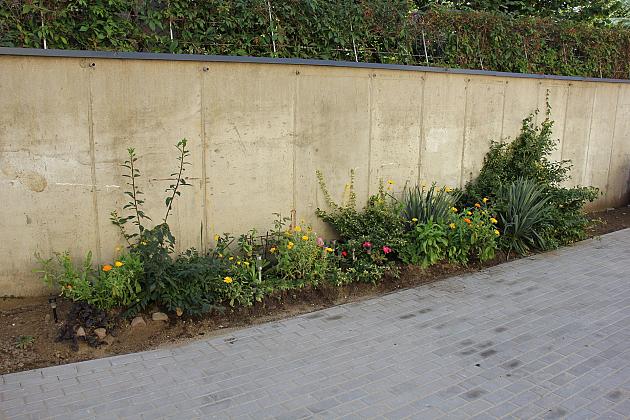 Razem z mieszkańcami. Podwórka integracyjne zmieniają Lębork