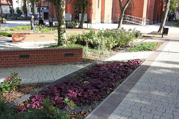 Zielono i stylowo. Plac Kopernika po rewitalizacji.