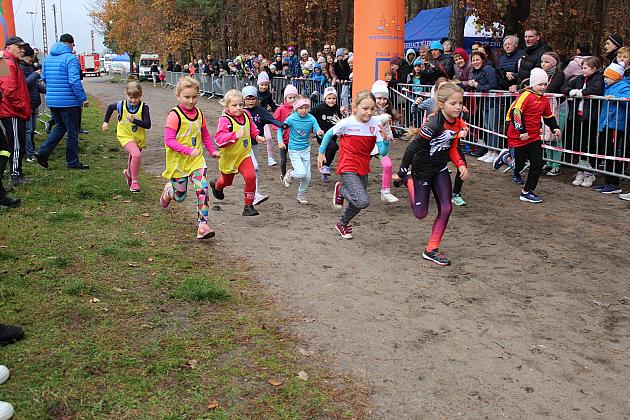 Biegi z okazji Święta Niepodległości