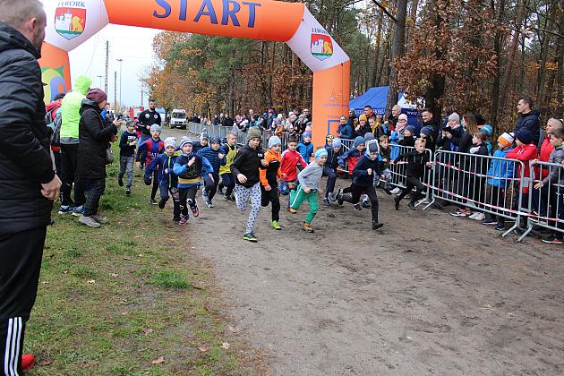 Biegi z okazji Święta Niepodległości