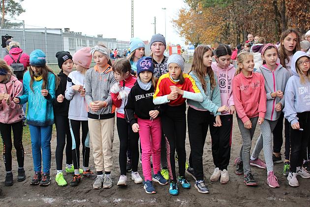 Biegi z okazji Święta Niepodległości
