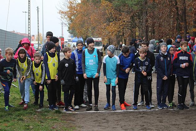 Biegi z okazji Święta Niepodległości