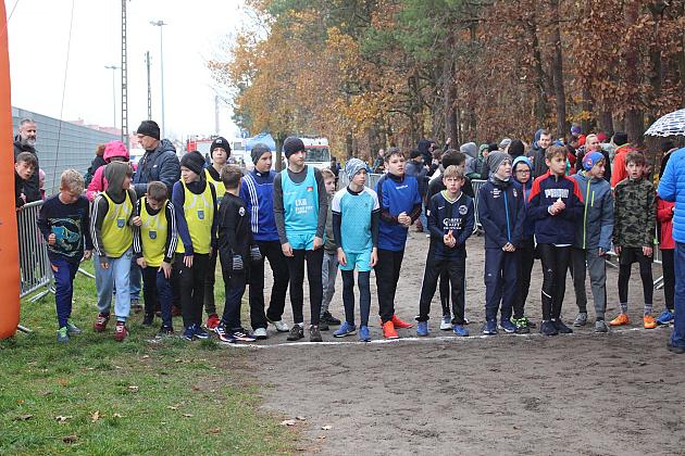Biegi z okazji Święta Niepodległości