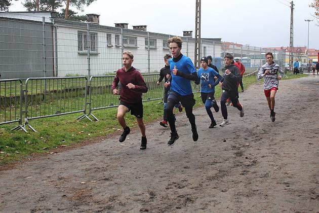 Biegi z okazji Święta Niepodległości