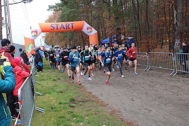 Biegi z okazji Święta Niepodległości