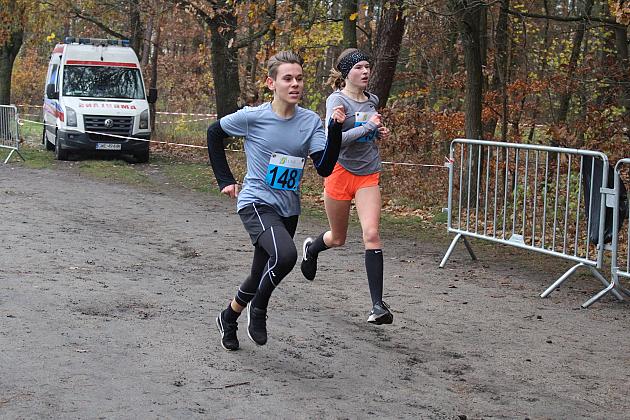 Biegi z okazji Święta Niepodległości