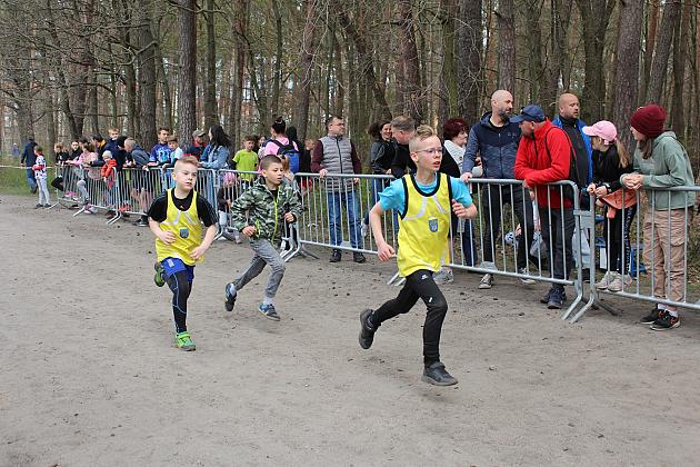 Indywidualne Biegi Przełajowe o Puchar Konstytucji 3 Maja