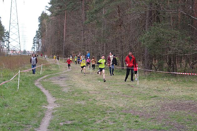 Indywidualne Biegi Przełajowe o Puchar Konstytucji 3 Maja