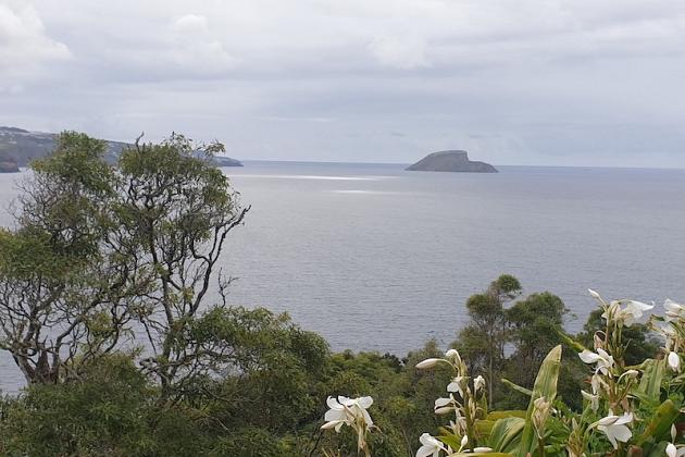Uczniowie SP1 z Erasmusa+ polecieli na Azory