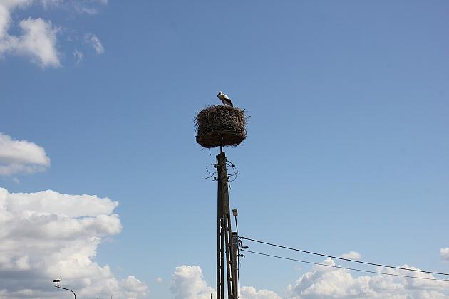 Na Pułaskiego trwa budowa nowej drogi