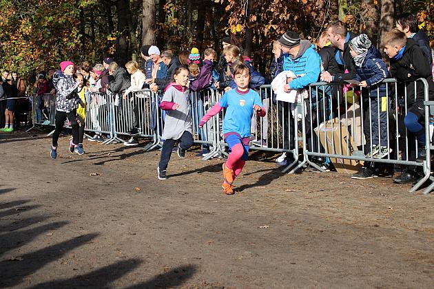 Indywidualne Biegi Przełajowe z okazji Święta Niepodległości