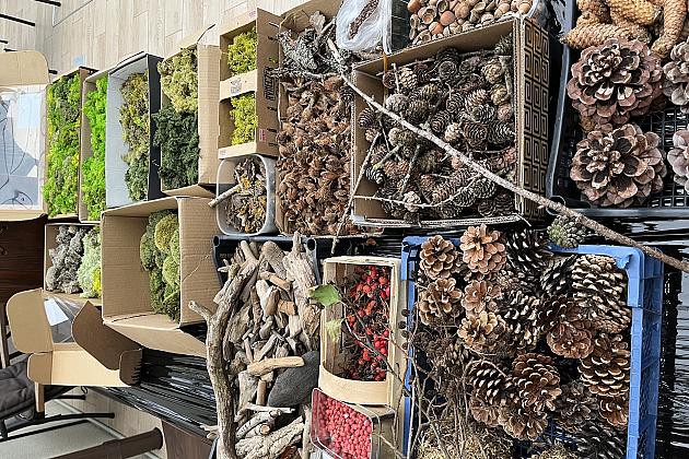 Kąpiel leśna czyli ciekawy projekt w SP nr 1