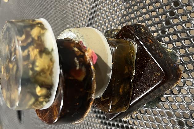 Kąpiel leśna czyli ciekawy projekt w SP nr 1