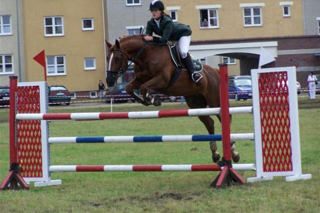 Konie skakały przez przeszkody