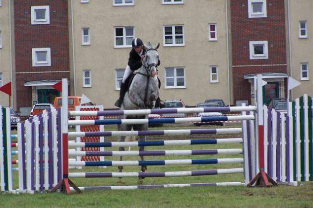 Konie skakały przez przeszkody