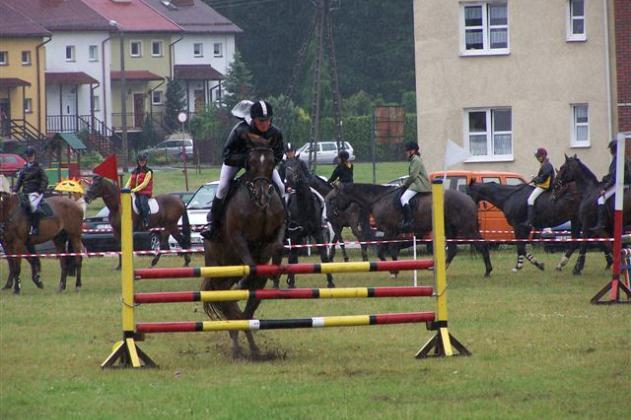 Konie skakały przez przeszkody