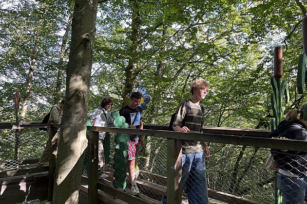 Szkolna polsko-niemiecka wymiana w Stralsundzie pt.: „Was verbindet?”- „Co łączy?