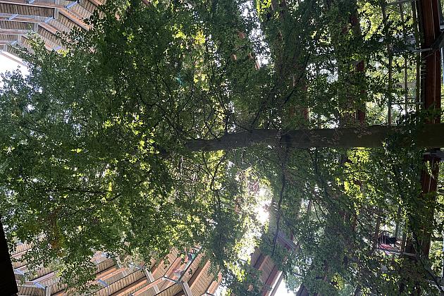 Szkolna polsko-niemiecka wymiana w Stralsundzie pt.: „Was verbindet?”- „Co łączy?