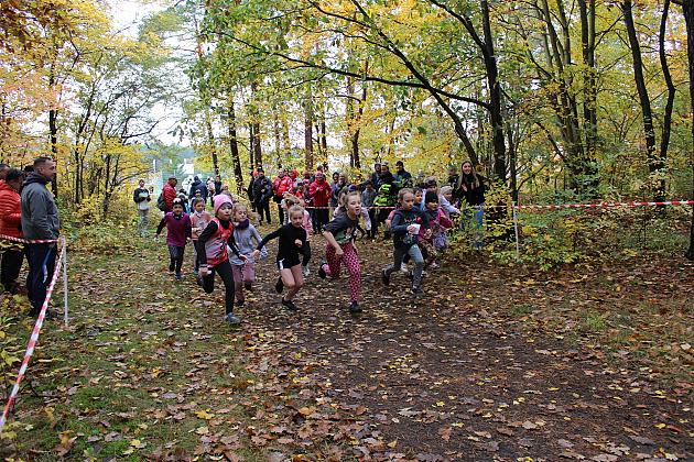 Biegi Przełajowe z okazji Święta Niepodległości