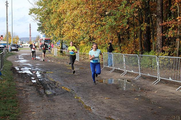 Biegi Przełajowe z okazji Święta Niepodległości