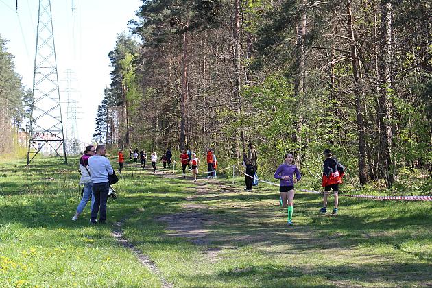 Indywidualne Biegi Przełajowe o Puchar Konstytucji 3 Maja za nami